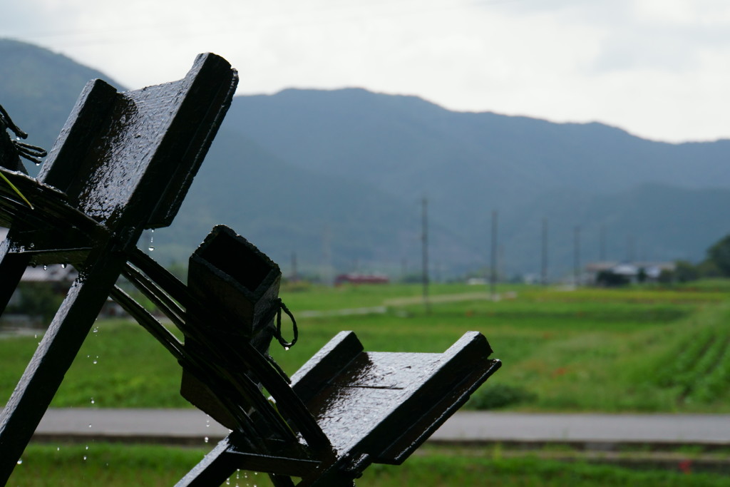 播但線「新野の１０３系➁」