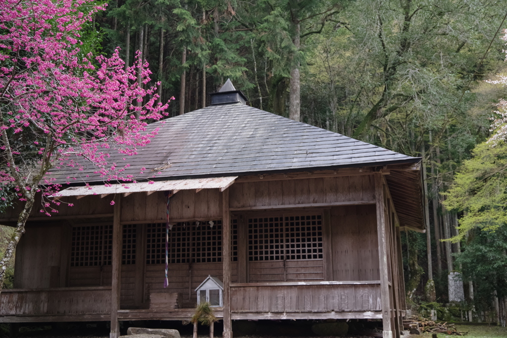 山間の神社にて