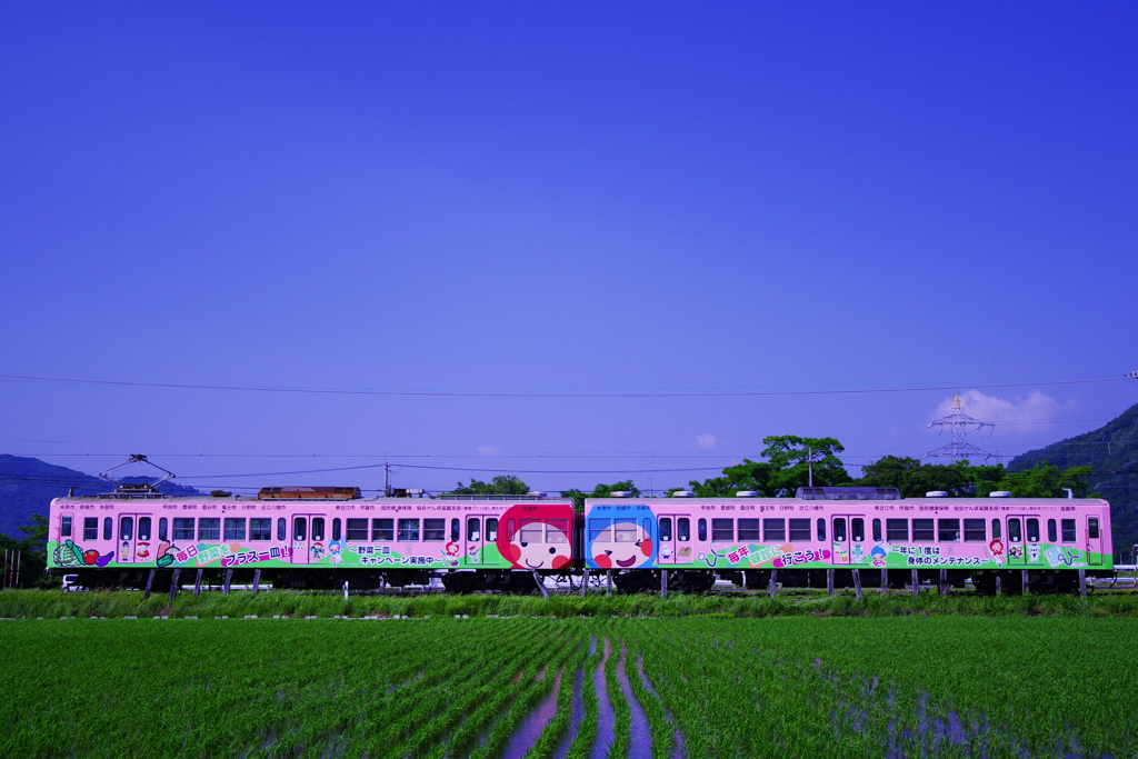 近江鉄道「健康第一➁」