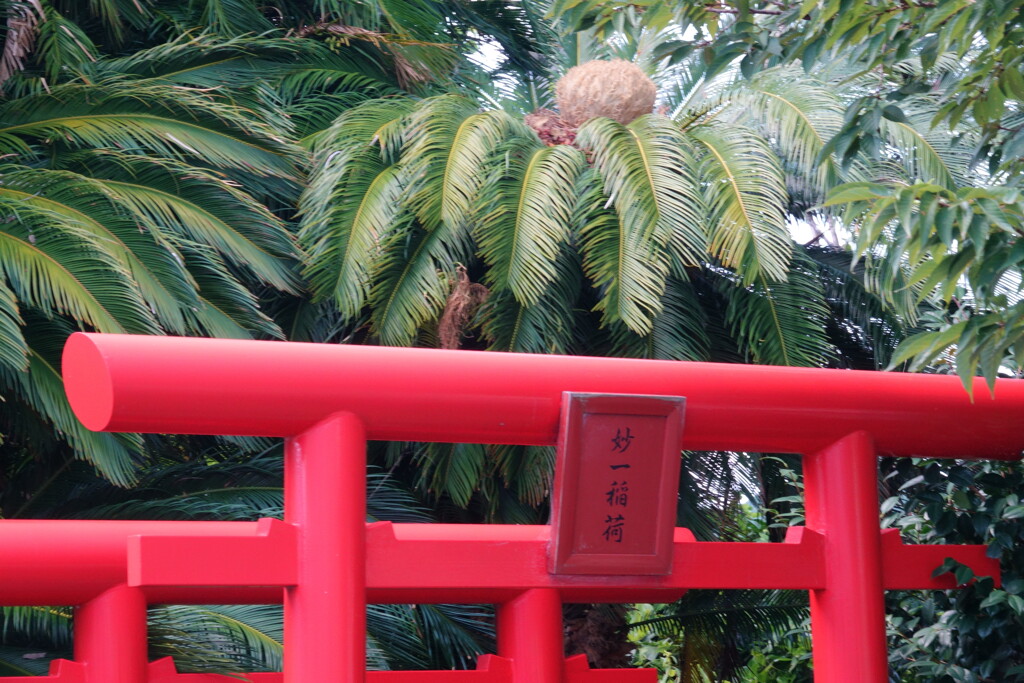 南国の稲荷神社