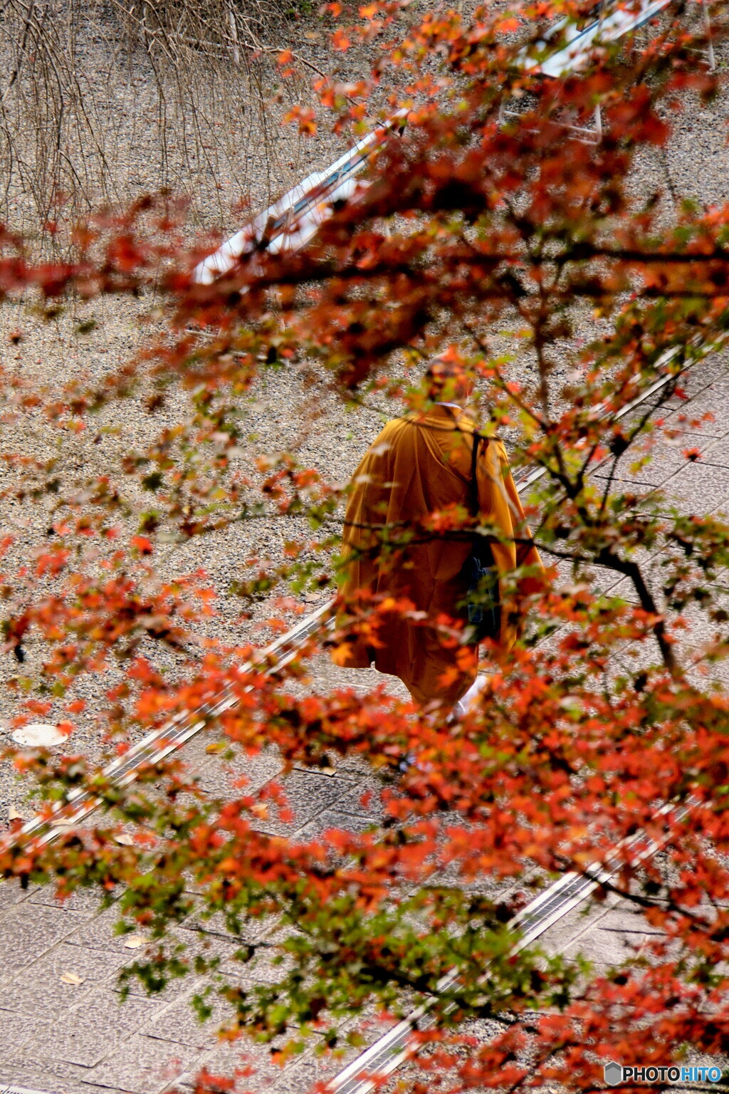 後姿