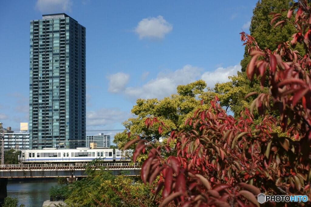 大川橋梁　秋