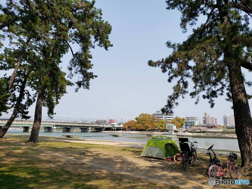 これもステイホーム？
