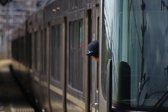 ホームの安全確認
