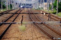 線路のうねり