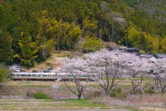 丹波路の春