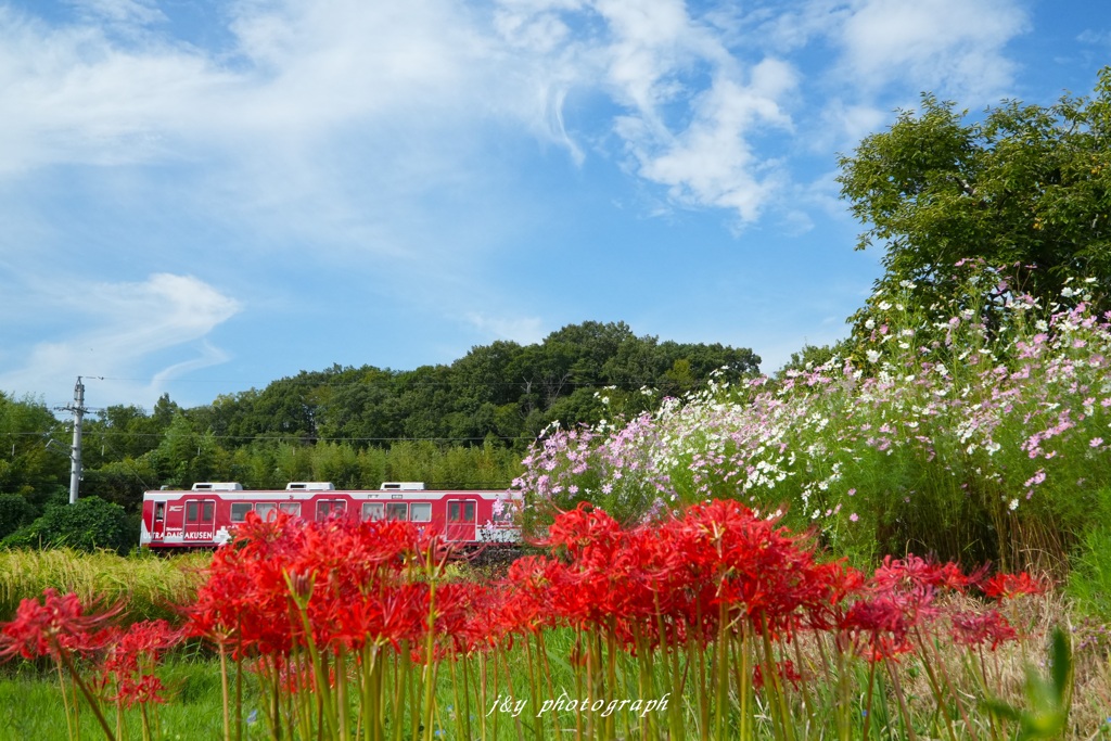 初秋の鉄道風景