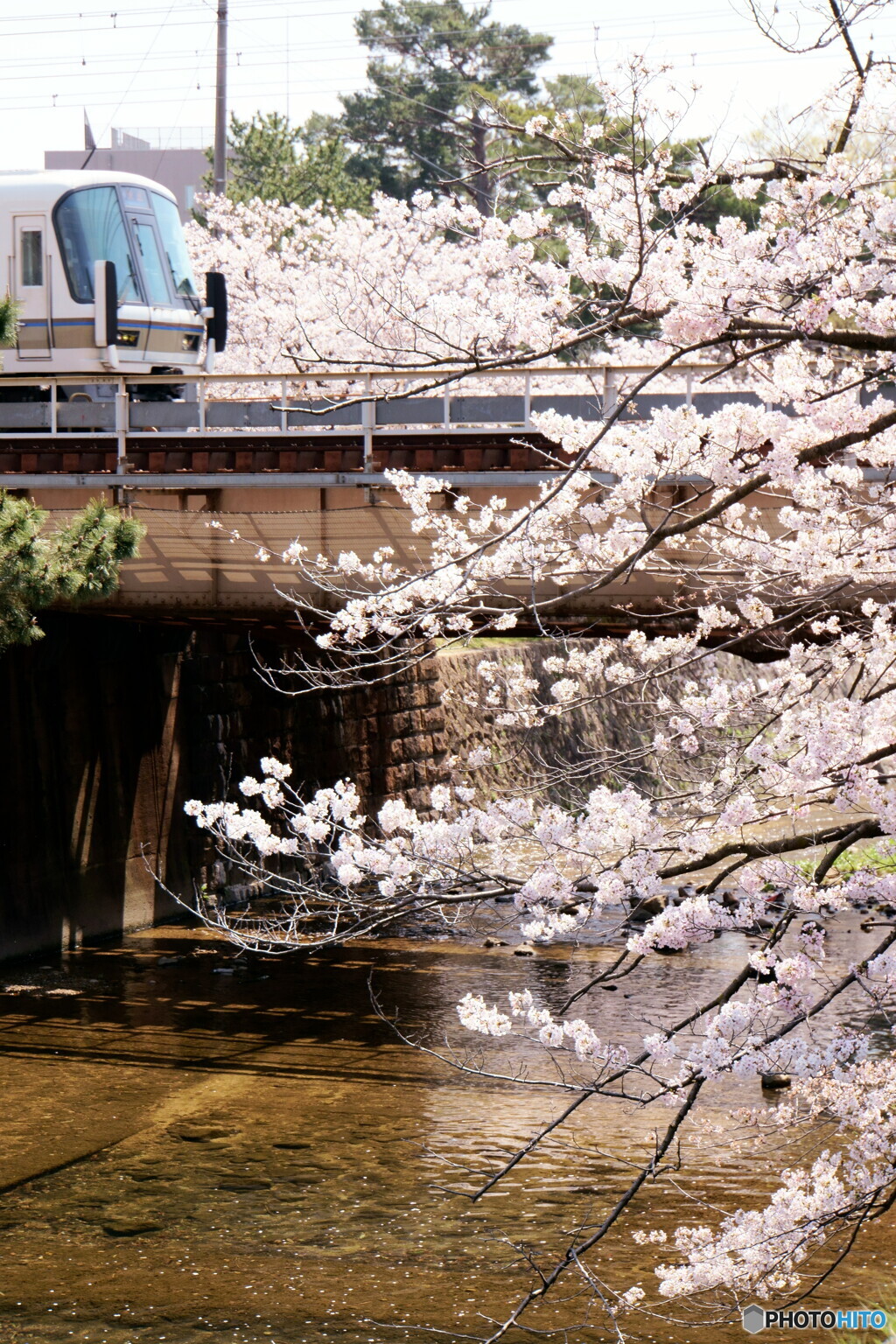 桜夙川　鉄道風景　その6