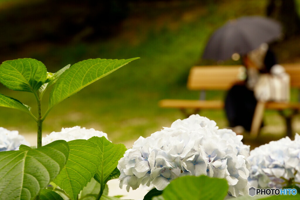 花と過ごす時間