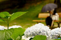 花と過ごす時間