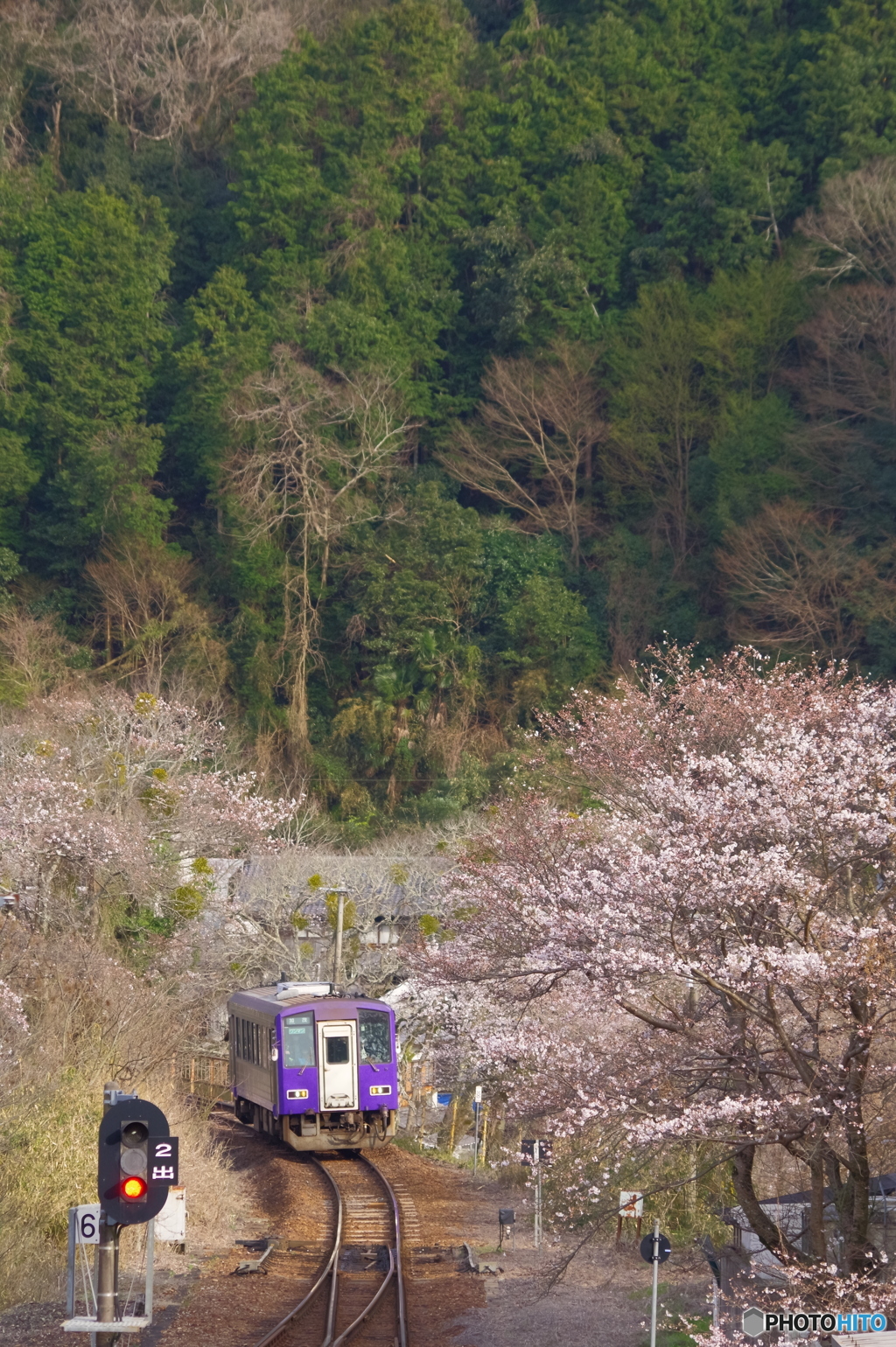 伊賀路の春
