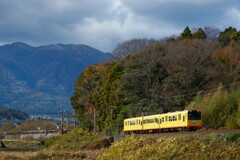 鈴鹿山脈を背に