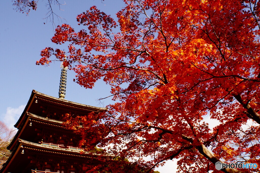 長谷寺