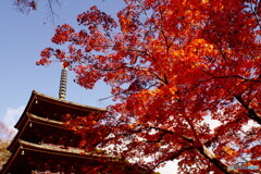 長谷寺