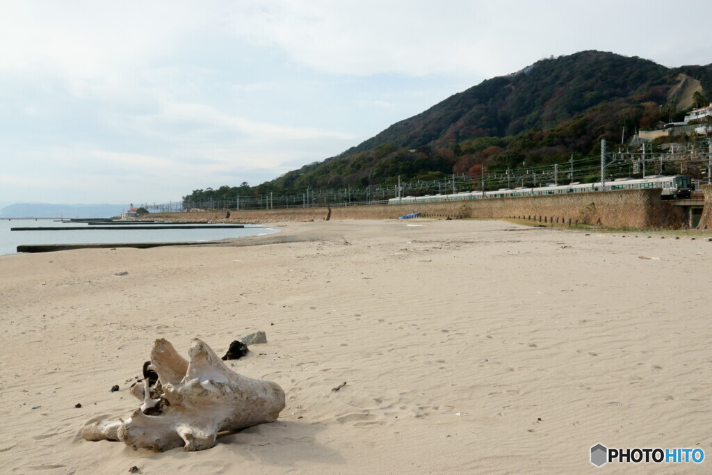 須磨　 冬の砂浜