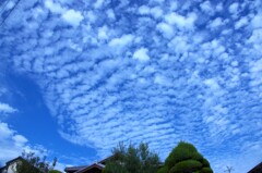 やっと秋空