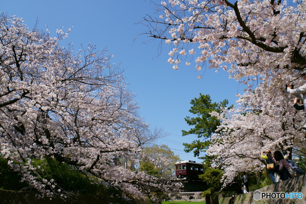 桜夙川　鉄道風景　その2