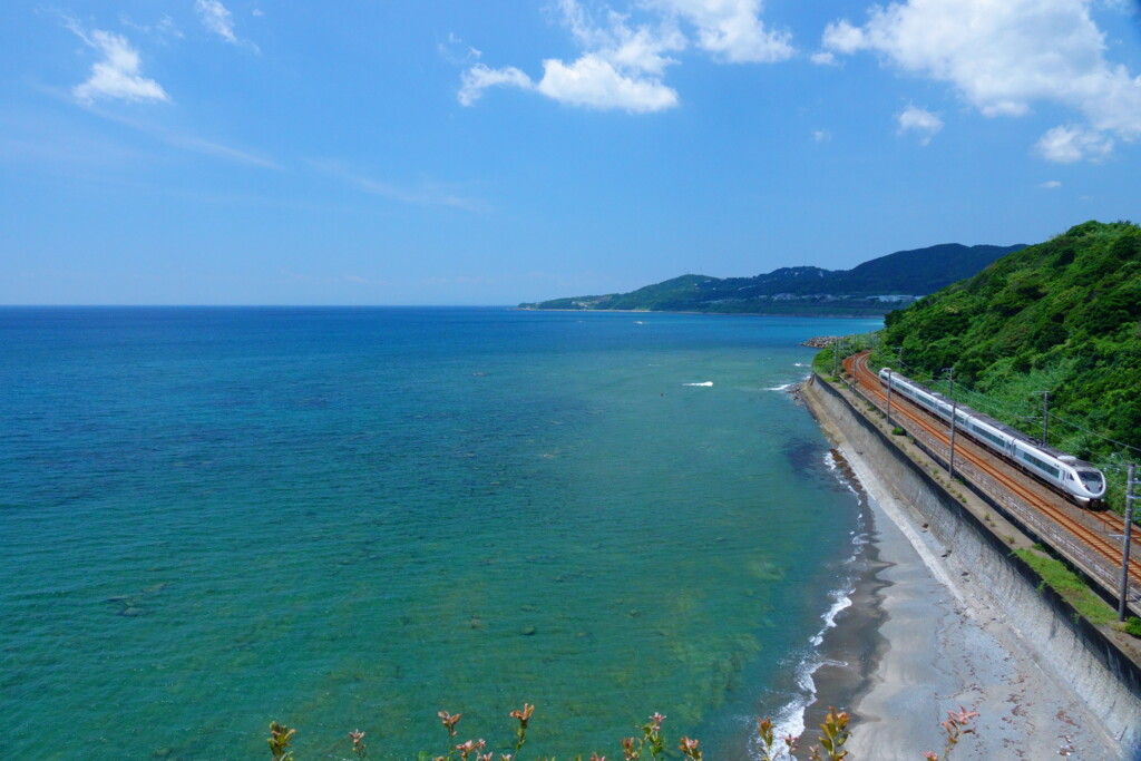 黒潮の海と特急「くろしお」