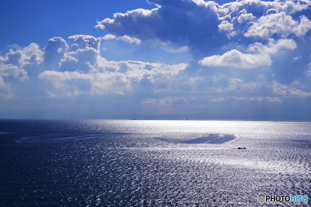 海