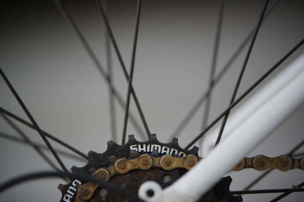 自転車散歩「相棒➁」