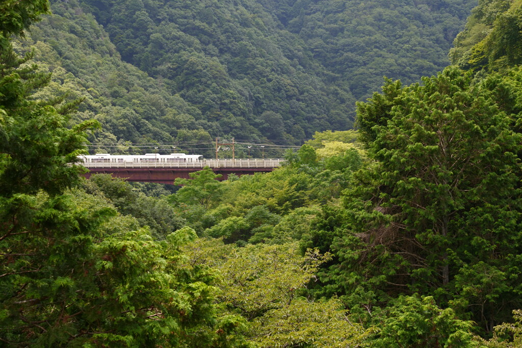渓谷の駅