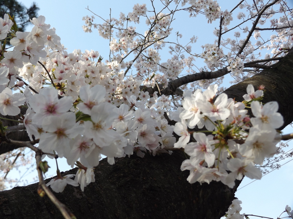 定点観測4／7➁