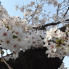 定点観測4／7➁
