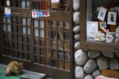 猫カフェの番人