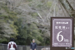 琵琶湖疎水の冬