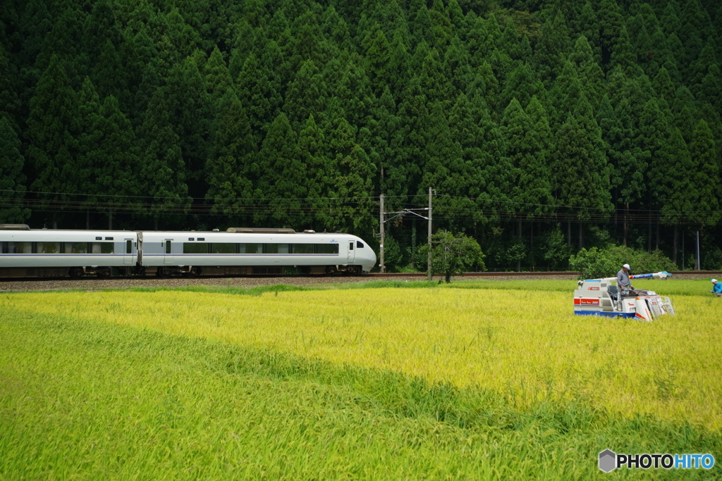 初秋の風景