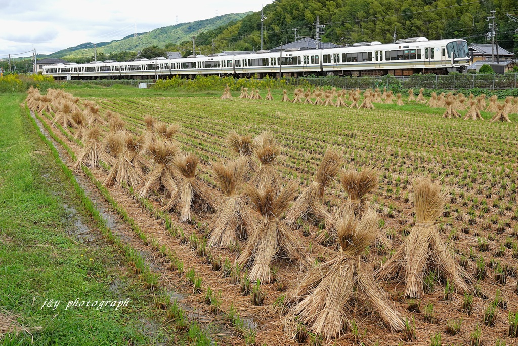 積藁と鉄道の風景