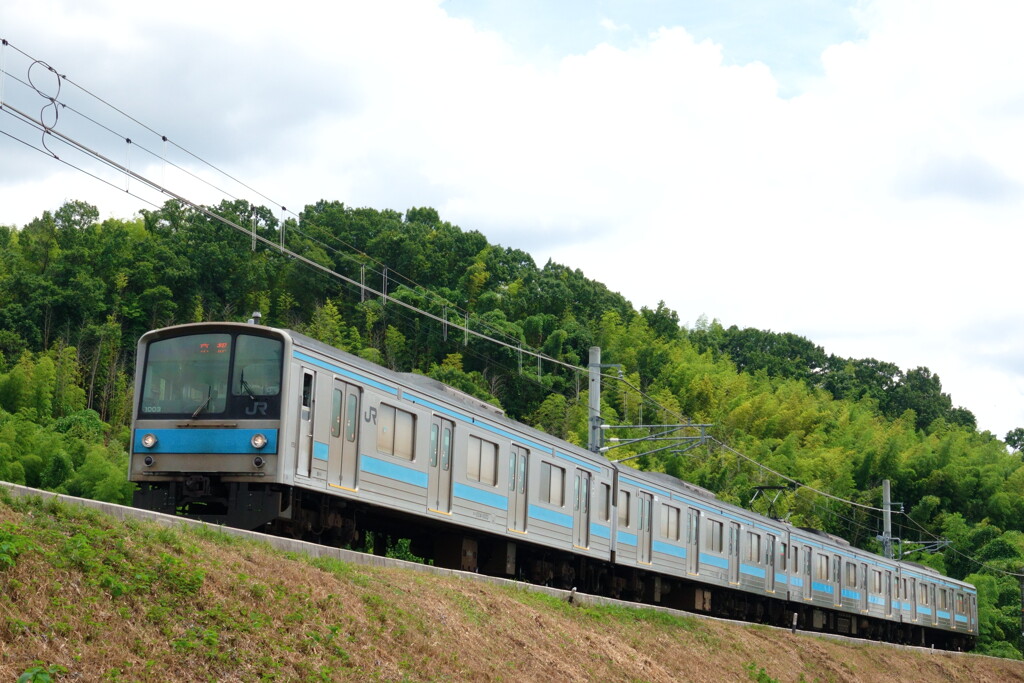 205系　築堤を行く