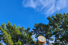 ふと空を見上げた