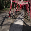 影（鳥居）