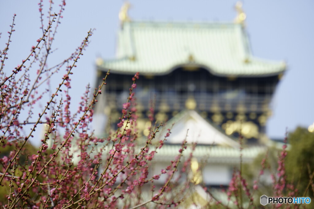 脇役は大阪城