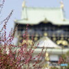 脇役は大阪城
