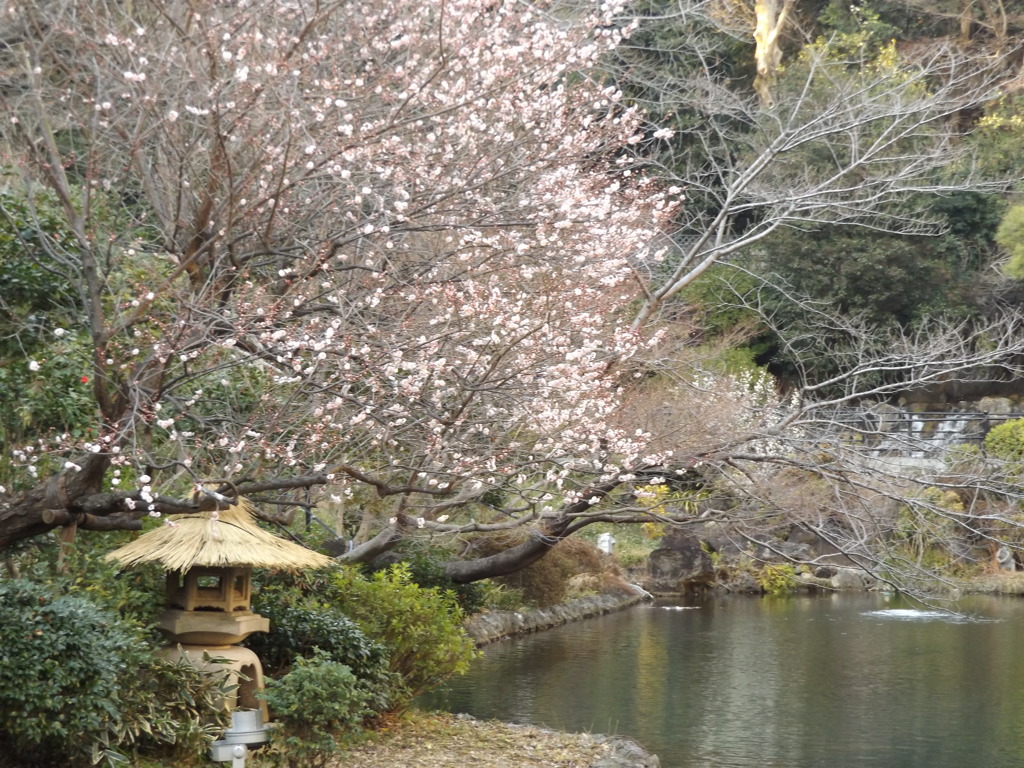 お上りさん紀行（ホテル椿山荘庭園①）