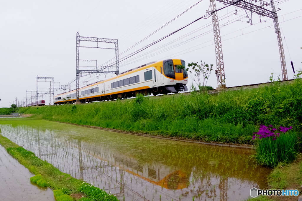 田植えが終わって