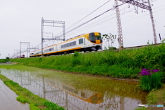 田植えが終わって