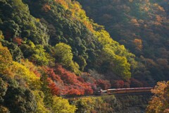 初冬の保津峡