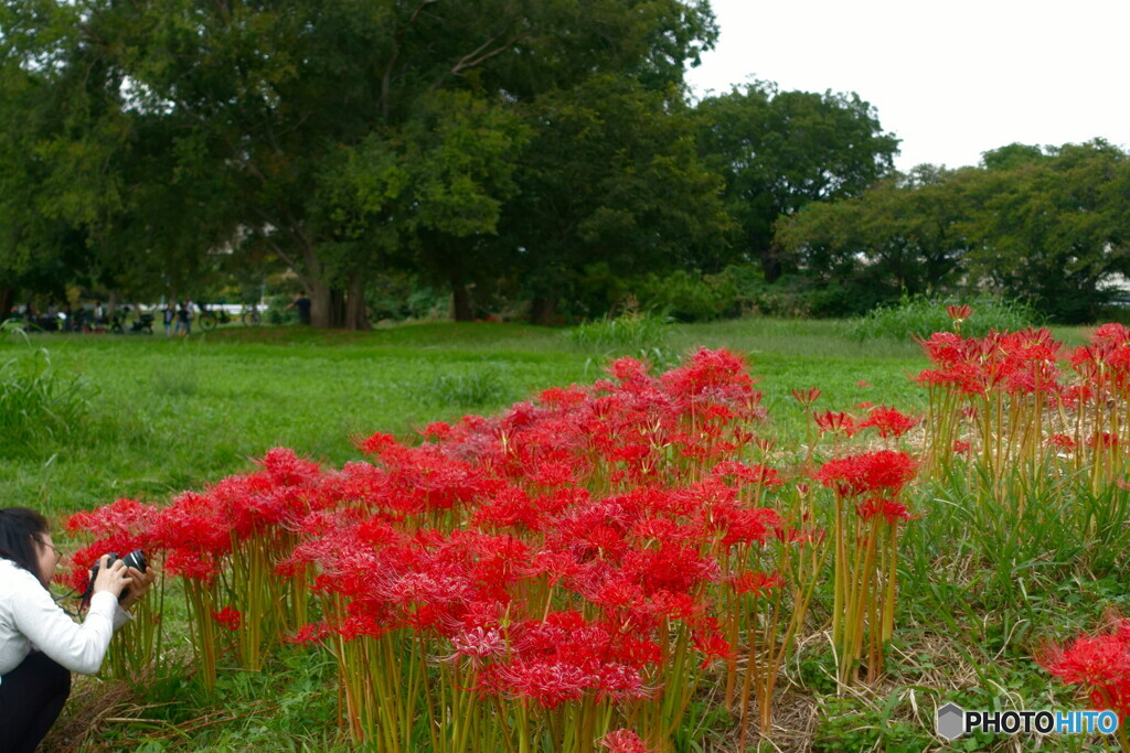 良いの撮れましたか？