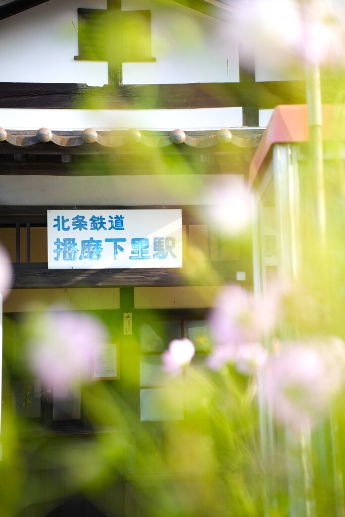 登録有形文化財の駅