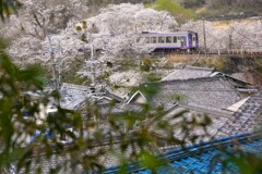 瓦屋根と鉄道の風景