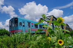 樽見鉄道　夏風景