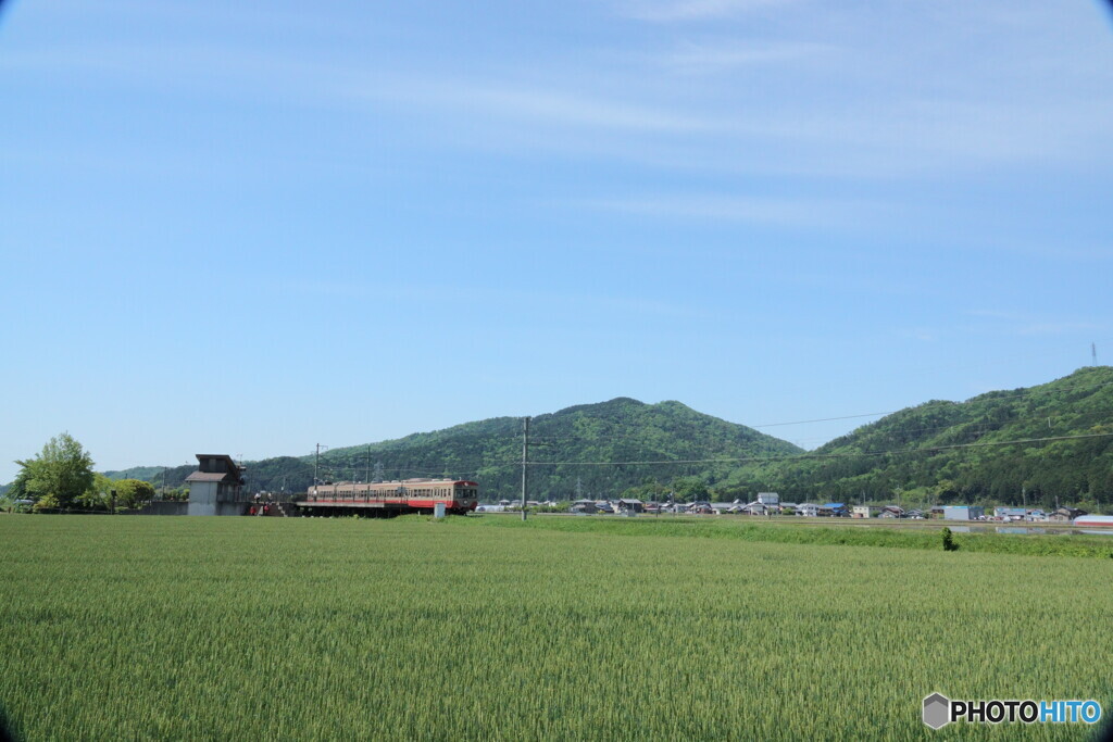 麦畑の中の小さな駅