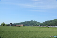 麦畑の中の小さな駅