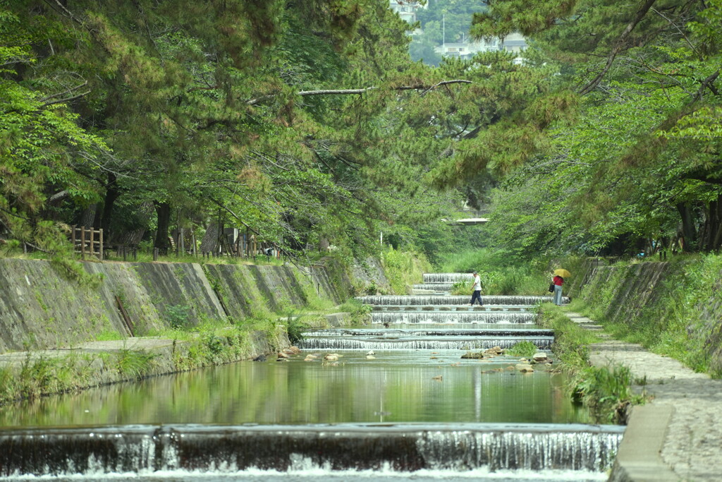 水辺が恋しい季節