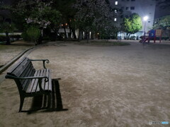 公園　9：30ＰＭ