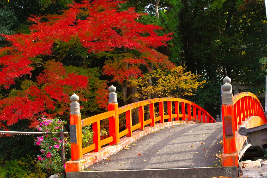 大和川上流域の橋