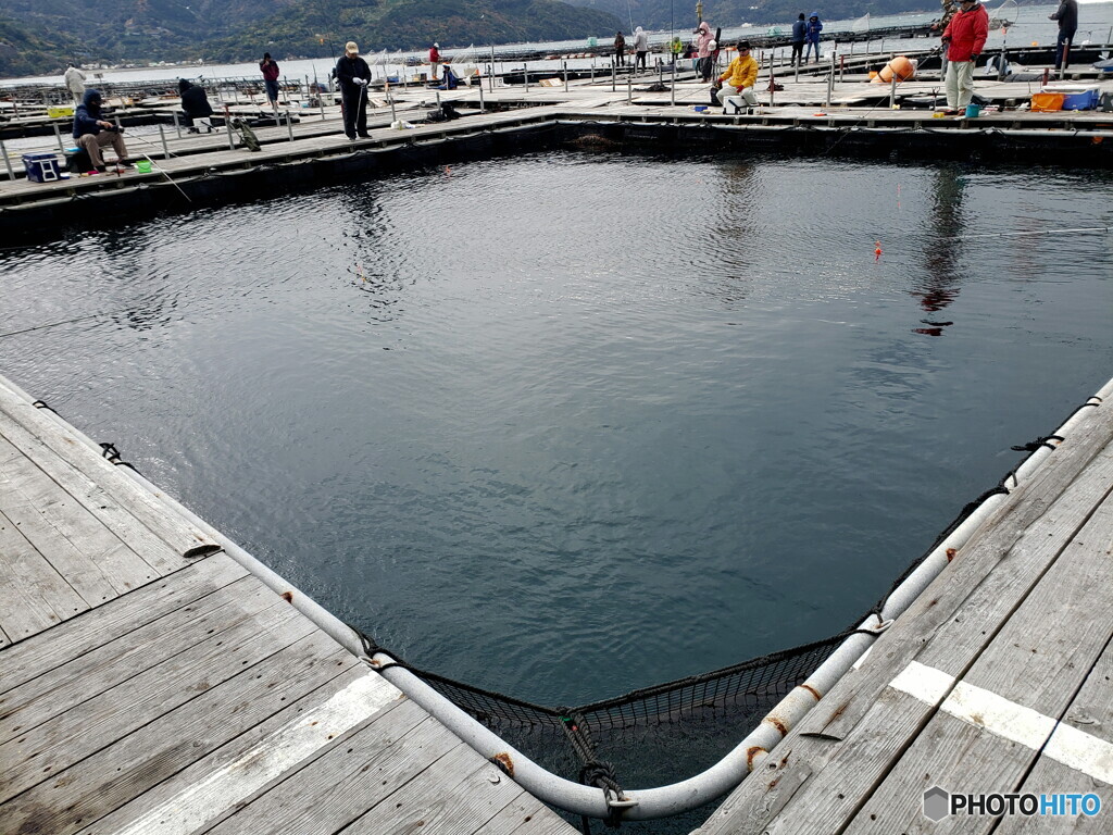 海上釣り堀